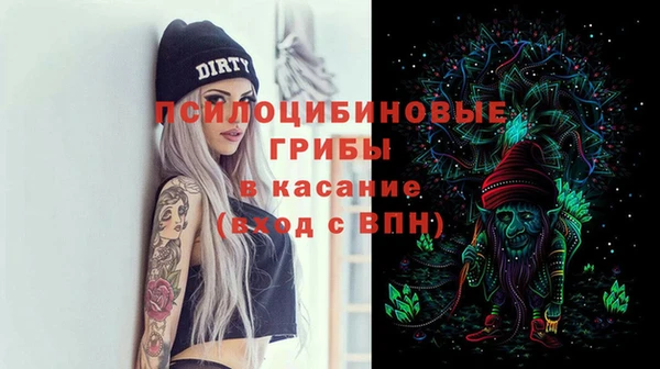 амф Аркадак