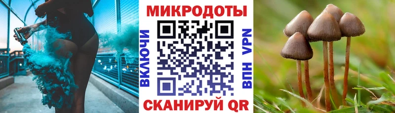 Псилоцибиновые грибы Psilocybe  Малоархангельск 